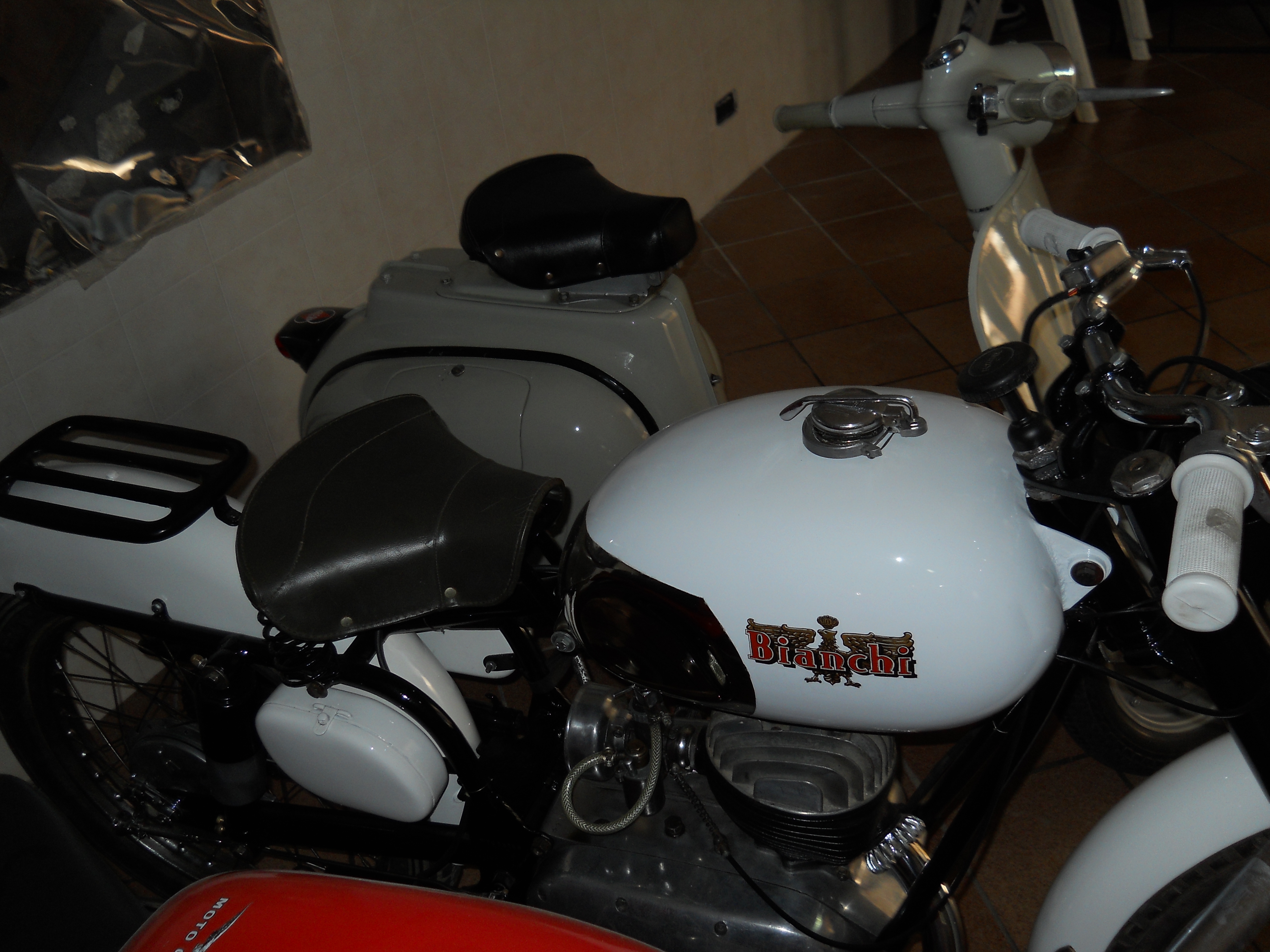 DSCN0832.JPG